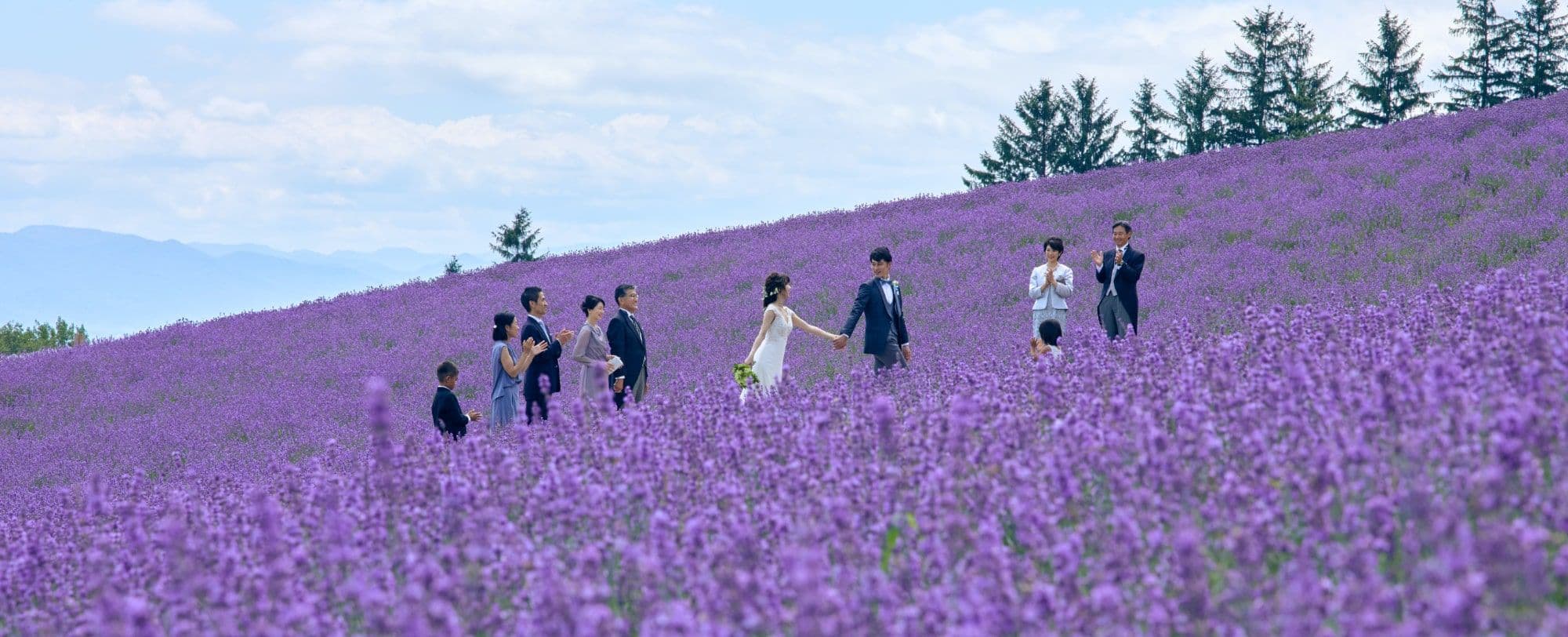 TOMAMU the WEDDING