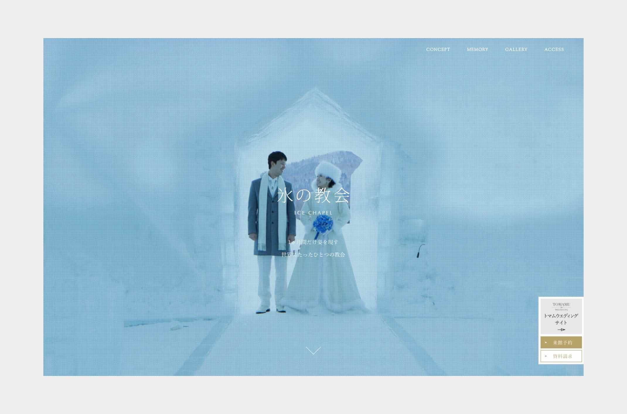 TOMAMU the WEDDING
