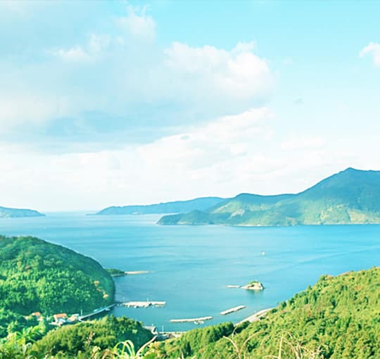 島の大使館