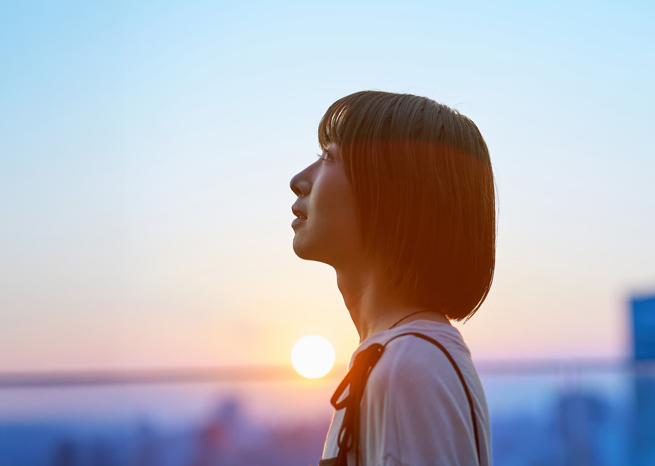 キャリアをつくる学校