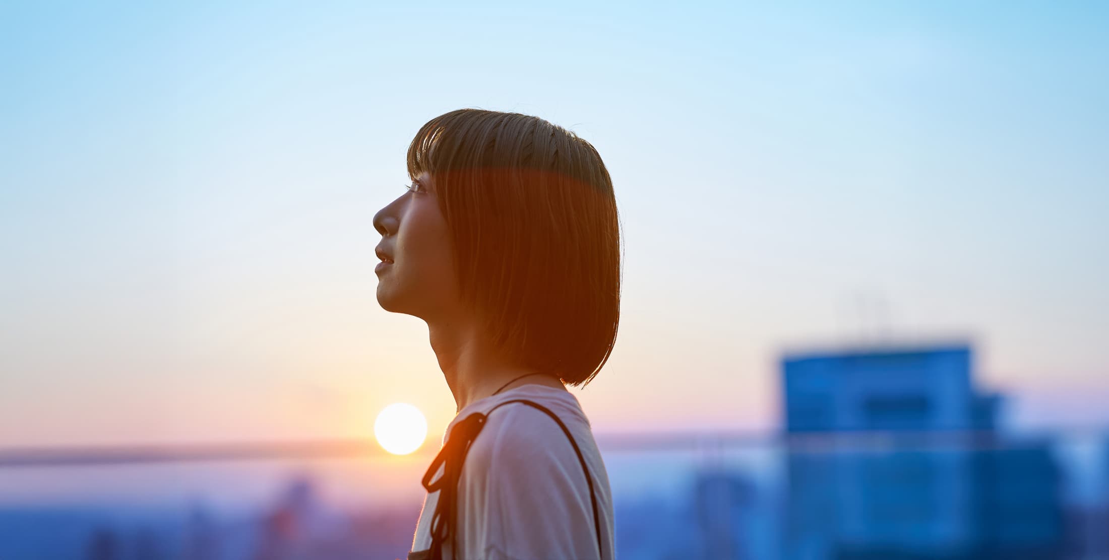 キャリアをつくる学校